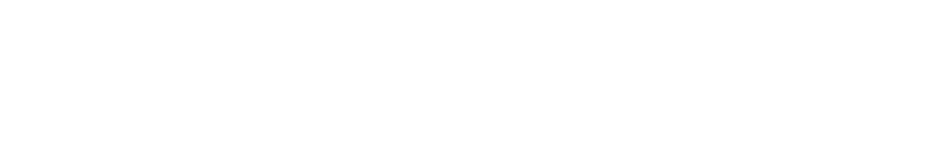 American Equity
